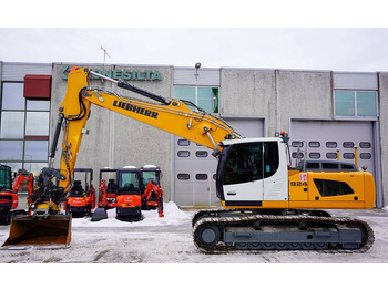 Excavadora de cadenas Liebherr R924: foto 1