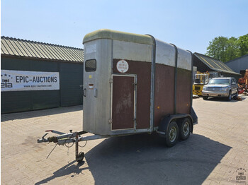 Remolque para caballos IFOR WILLIAMS TRAILERS HB- 505 R: foto 1