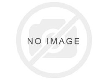 Discos de freno LIEBHERR