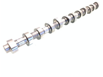 : imagen de cabecera