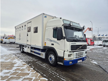 Camión para caballos Volvo FM 7 5 Horses / Live Cabin / 1 Owner / Serviced: foto 4