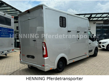 Camión para caballos Renault Master 3 - Sitzer: foto 3 Camión para caballos Renault Master 3 - Sitzer: foto 3