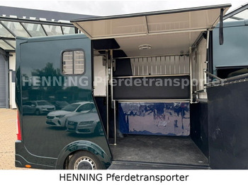 Leasing de Renault Master 5 -  Sitzer Automatik  Renault Master 5 -  Sitzer Automatik: foto 5