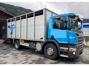 Camión transporte de ganado Scania P280 4x2 – Pojazd do przewozu zwierząt VIEHFAHRZEUG / jednopoziomowy – 171.000 km!! – Euro 5: foto 2 Camión transporte de ganado Scania P280 4x2 – Pojazd do przewozu zwierząt VIEHFAHRZEUG / jednopoziomowy – 171.000 km!! – Euro 5: foto 2