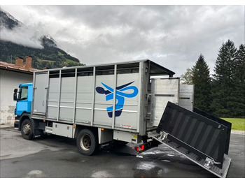 Camión transporte de ganado Scania P280 4x2 – Pojazd do przewozu zwierząt VIEHFAHRZEUG / jednopoziomowy – 171.000 km!! – Euro 5: foto 5 Camión transporte de ganado Scania P280 4x2 – Pojazd do przewozu zwierząt VIEHFAHRZEUG / jednopoziomowy – 171.000 km!! – Euro 5: foto 5