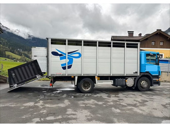 Camión transporte de ganado Scania P280 4x2 – Pojazd do przewozu zwierząt VIEHFAHRZEUG / jednopoziomowy – 171.000 km!! – Euro 5: foto 4 Camión transporte de ganado Scania P280 4x2 – Pojazd do przewozu zwierząt VIEHFAHRZEUG / jednopoziomowy – 171.000 km!! – Euro 5: foto 4