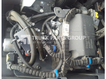 Silenciador/ Sistema de escape DAF XF 106