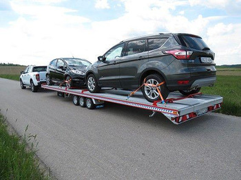 Leasing de  Fitzel Duo 35-21/83 Tridem INKL. ALU-BODEN Fitzel Duo 35-21/83 Tridem INKL. ALU-BODEN: foto 5