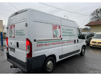 Furgoneta frigorifica Fiat Ducato Ducato 3.0-180KM Chłodnia Konvekta Model 2015: foto 4