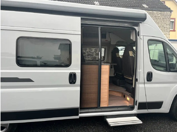 Leasing de Weinsberg CaraBus 600 DQ Weinsberg CaraBus 600 DQ: foto 3