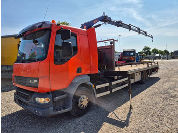 Camión grúa DAF LF 55 250
