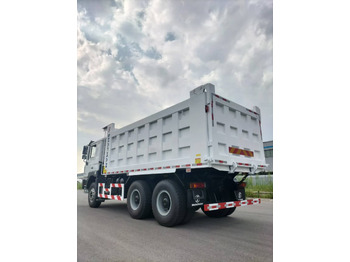 Camión volquete nuevo SHACMAN F3000: foto 5