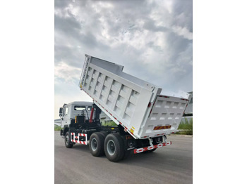 Camión volquete nuevo SHACMAN F3000: foto 4