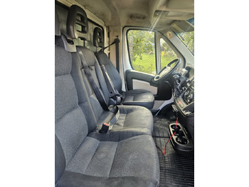 Furgoneta con lona Fiat Ducato 10 Europallets: foto 4