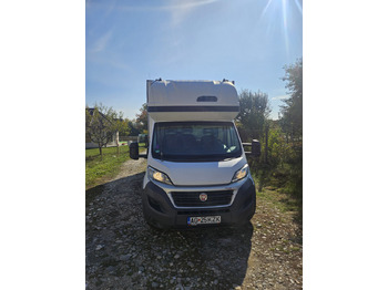 Furgoneta con lona Fiat Ducato 10 Europallets: foto 3