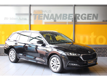 Coche familiar ŠKODA