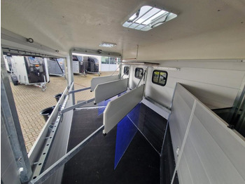 Remolque para caballos Pferdeanhänger Böckmann Traveller G3 Top Ausstattung: foto 5