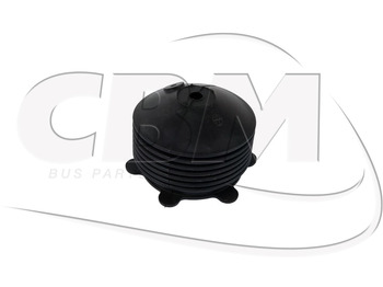 : imagen de cabecera