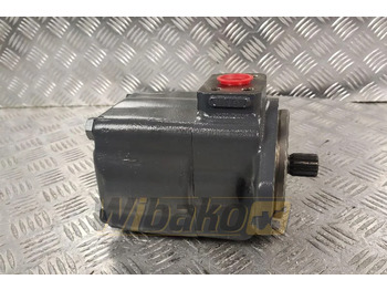 Bomba hidráulica para Maquinaria de construcción Hanomag 60E: foto 2