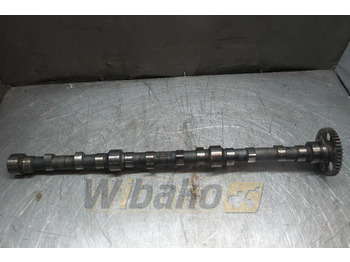 : imagen de cabecera