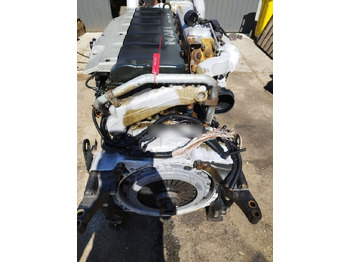 Motor para Camión MAN D2066 LF37 MAN TGA, TGS, TGX: foto 2