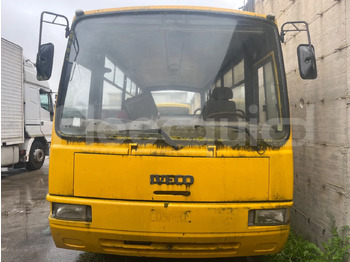 Autobús escolar IVECO