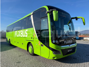 Autocar MAN Lion's Coach