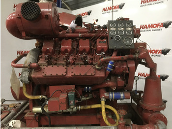 Maquinaria de construcción Dorman 8JT USED: foto 2