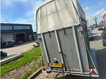 Remolque HOTRARIJS HORSE TRAILER TRAILER: foto 4