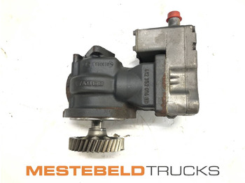 Motor y piezas IVECO