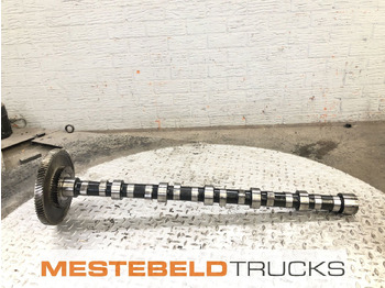 : imagen de cabecera