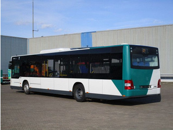 Autobús urbano MAN Lions City, A21, A/C, Euro 6, Lawo: foto 2
