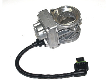 : imagen de cabecera