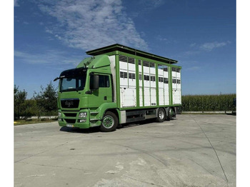 Camión transporte de ganado MAN TGS 26.440 Livestock Transporter - Three Deck: foto 5