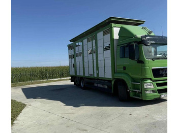 Camión transporte de ganado MAN TGS 26.440 Livestock Transporter - Three Deck: foto 4