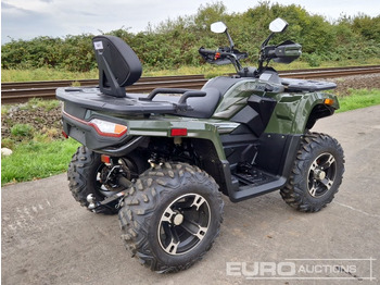 Cuadrimoto Unused TAO Motors TGA300F: foto 5