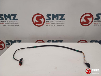 : imagen de cabecera