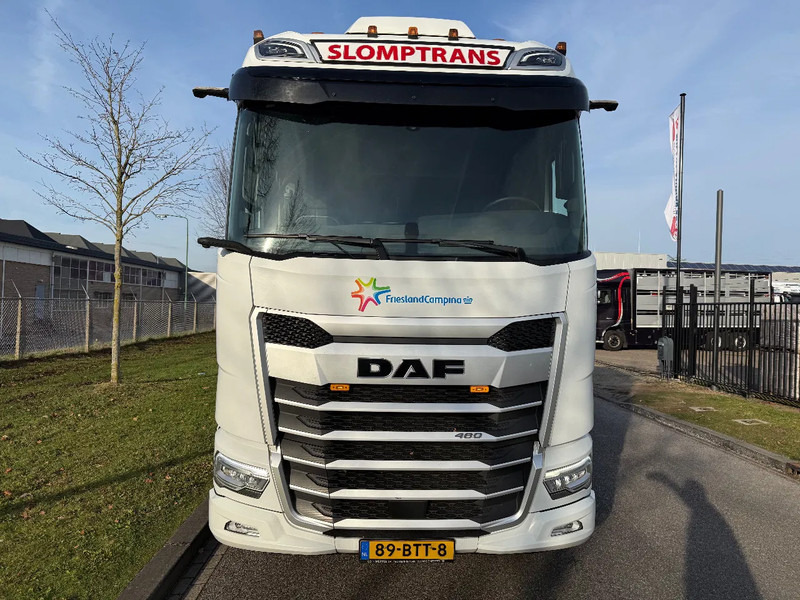 DAF XF 480 2023 XG 480 - Cabeza tractora: foto 5 DAF XF 480 2023 XG 480 - Cabeza tractora: foto 5