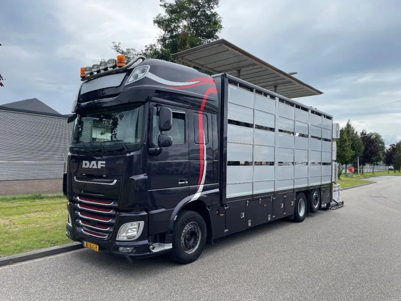 Camión transporte de ganado DAF XF 460 2017 berdex 3 lagen varkens: foto 13