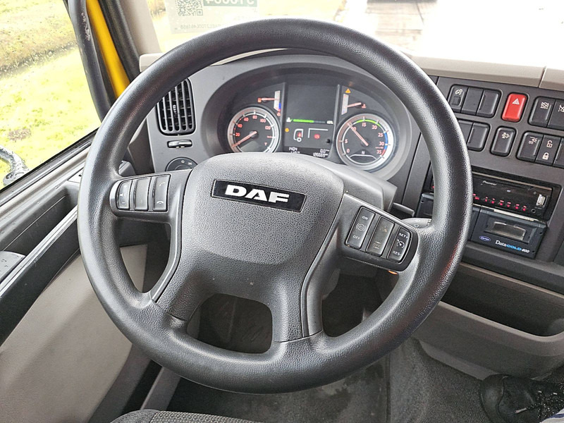 Leasing de DAF LF 230 DAF LF 230: foto 10