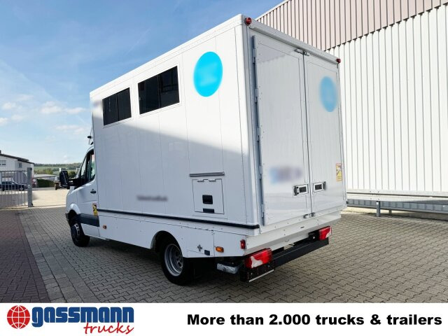 Camión caja cerrada Mercedes-Benz Sprinter 516 CDI 4x2, Übertragungsfahrzeug: foto 13 Camión caja cerrada Mercedes-Benz Sprinter 516 CDI 4x2, Übertragungsfahrzeug: foto 13