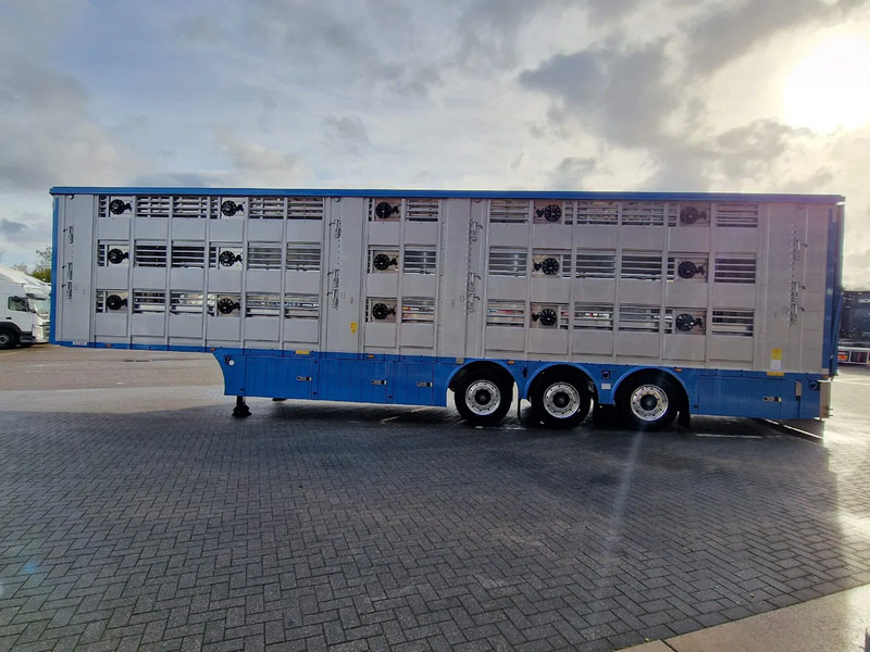 Pezzaioli New 3 stock livestock trailer 95.4M2 - Water & Ventilation - Lifting floors - Lifting roof - Lift axle - Semirremolque transporte de ganado: foto 5 Pezzaioli New 3 stock livestock trailer 95.4M2 - Water & Ventilation - Lifting floors - Lifting roof - Lift axle - Semirremolque transporte de ganado: foto 5