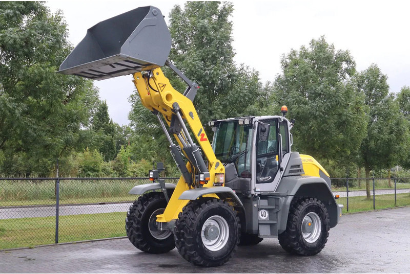Cargadora de ruedas WACKER NEUSON WL95 | NEW - UNUSED | 40 KM/H | FULL OPTION!: foto 8