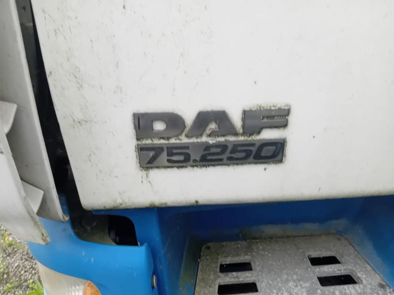 DAF CF 75.250 - Camión caja cerrada: foto 2 DAF CF 75.250 - Camión caja cerrada: foto 2