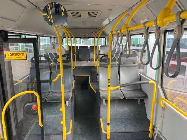 Autobús urbano MAN A 21 Lions City  KLIMA  EURO 6  ZF EcoLife   2x: foto 8