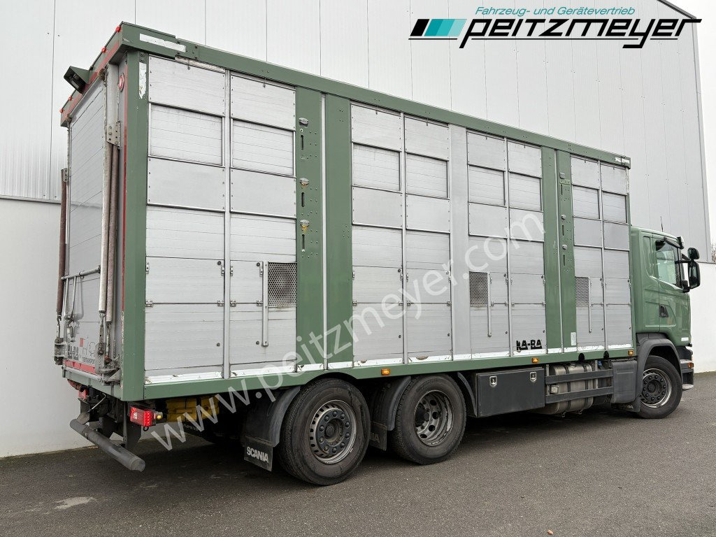 Camión transporte de ganado Scania G 450 6x2, Kaba 3-Stock, Hubdach Lenk + Lift,: foto 34 Camión transporte de ganado Scania G 450 6x2, Kaba 3-Stock, Hubdach Lenk + Lift,: foto 34