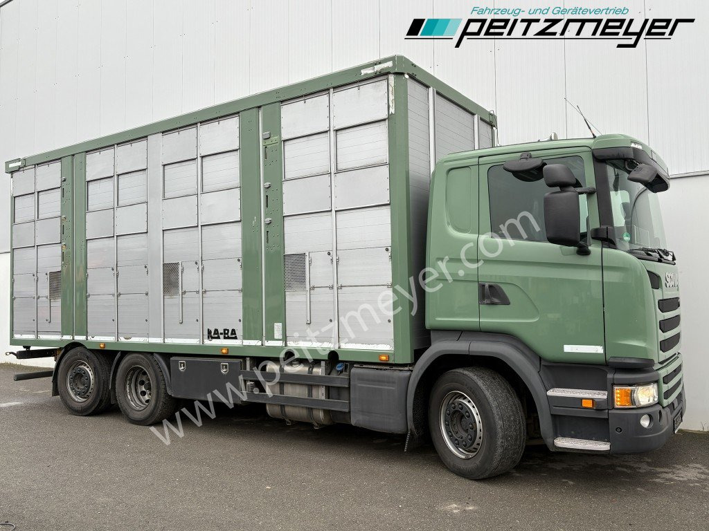 Camión transporte de ganado Scania G 450 6x2, Kaba 3-Stock, Hubdach Lenk + Lift,: foto 32 Camión transporte de ganado Scania G 450 6x2, Kaba 3-Stock, Hubdach Lenk + Lift,: foto 32