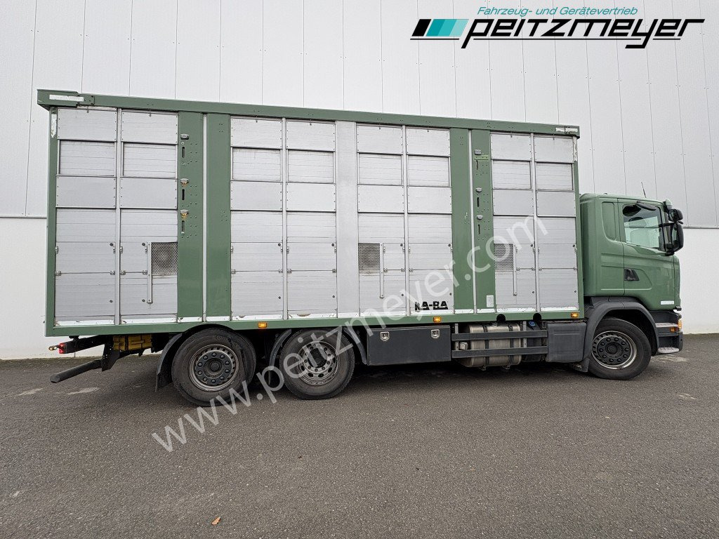 Camión transporte de ganado Scania G 450 6x2, Kaba 3-Stock, Hubdach Lenk + Lift,: foto 33 Camión transporte de ganado Scania G 450 6x2, Kaba 3-Stock, Hubdach Lenk + Lift,: foto 33