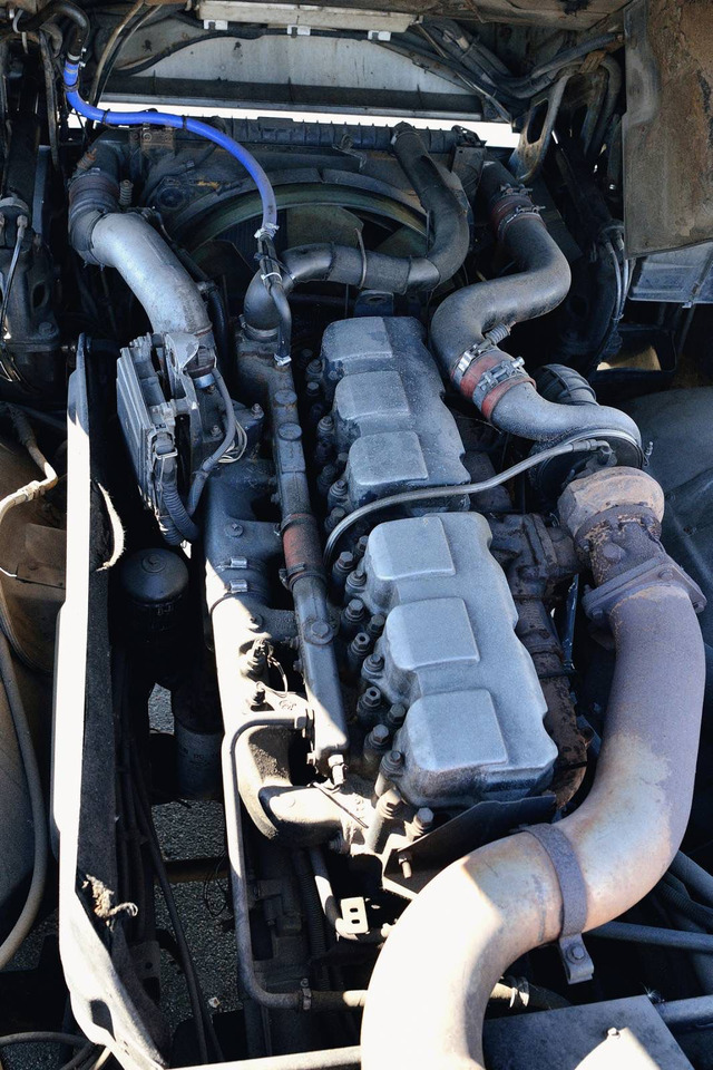 Cabeza tractora RENAULT Magnum 440: foto 12