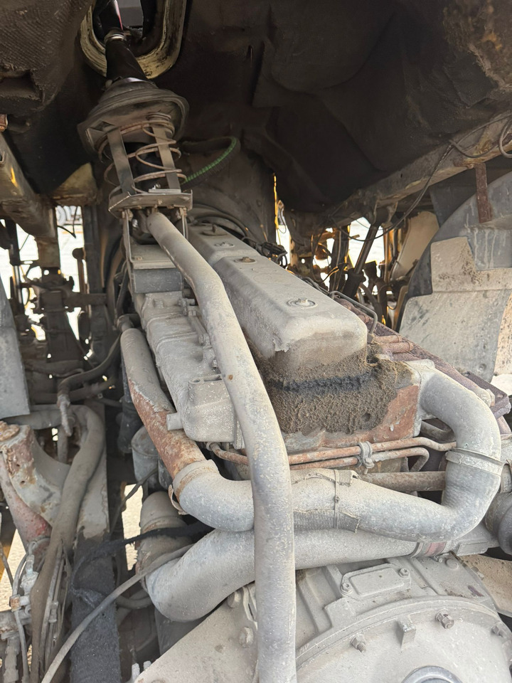 Cabeza tractora SCANIA 113M 380: foto 22